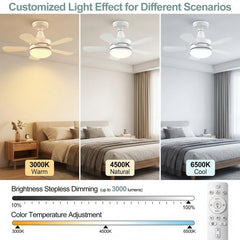 WZZIW remote control and buttons displayed for easy dimming and speed adjustments