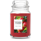 Yankee Candle Macintosh front jar view showing label and apple scent benefit
