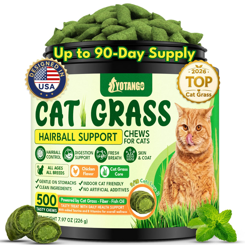 YOTANGO front packaging showing jar and 500-count supply benefit