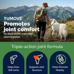 YuMOVE soft chew close-up texture showing chewability and palatability
