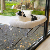 Zakkart front view of white window perch showing safe elevated lounging benefit