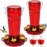 Zamelane front view showing glass feeder and five feeding ports, invites backyard birdwatching