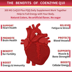 ZEBORA ingredient label showing CoQ10, PQQ, omega-3s and absorption aids for transparency