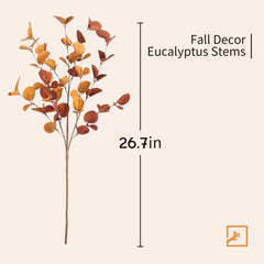 ZIFTY close-up of eucalyptus leaf texture highlighting realistic veins and touchable finish