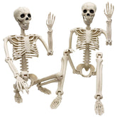 Znorso front view of both skeletons showing full-size props and easy setup