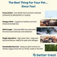 A Better Treat salmon treats held in hand, demonstrating lightweight and low-grease benefits