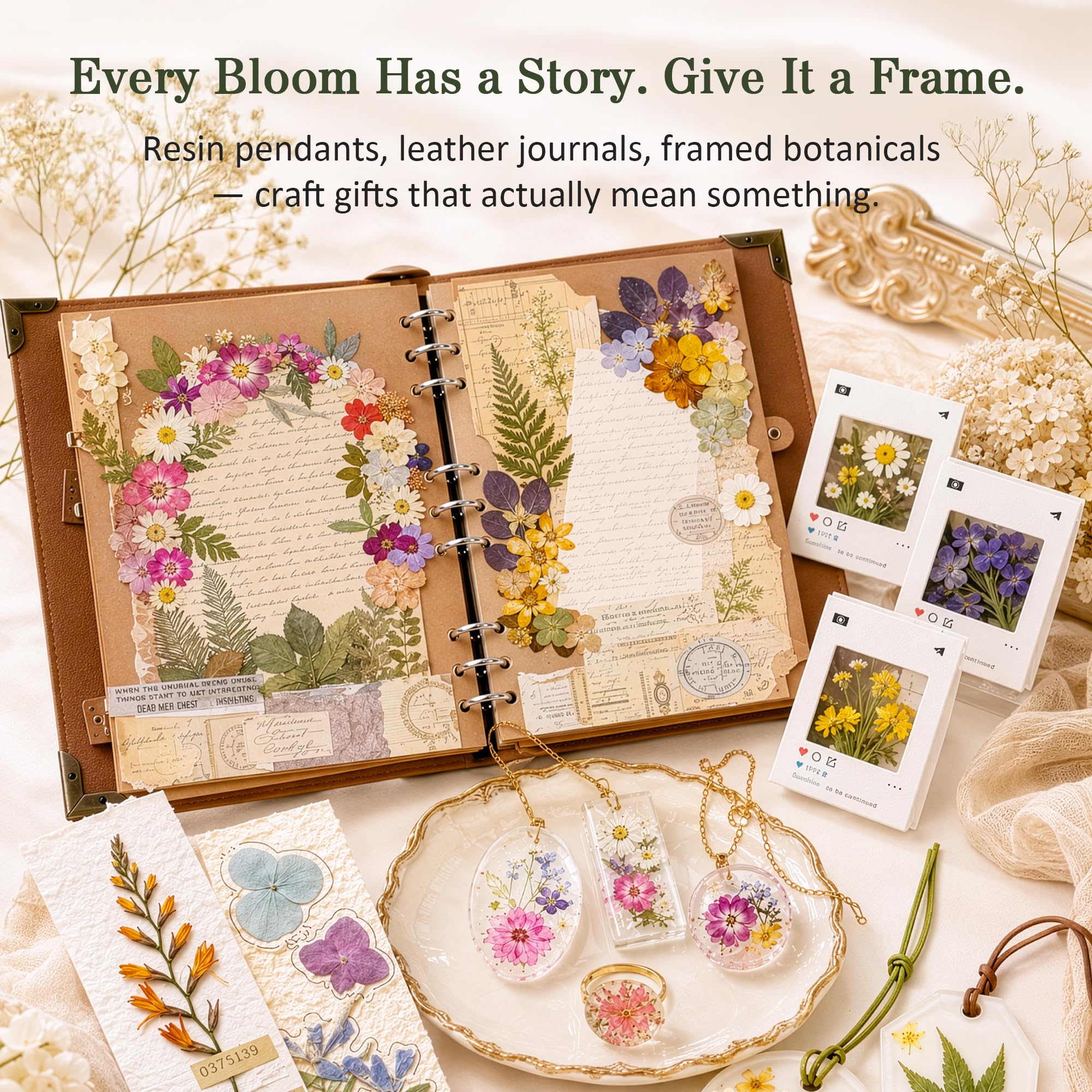 Framed pressed flowers created using Aboofx press illustrating preserved color and flatness for display