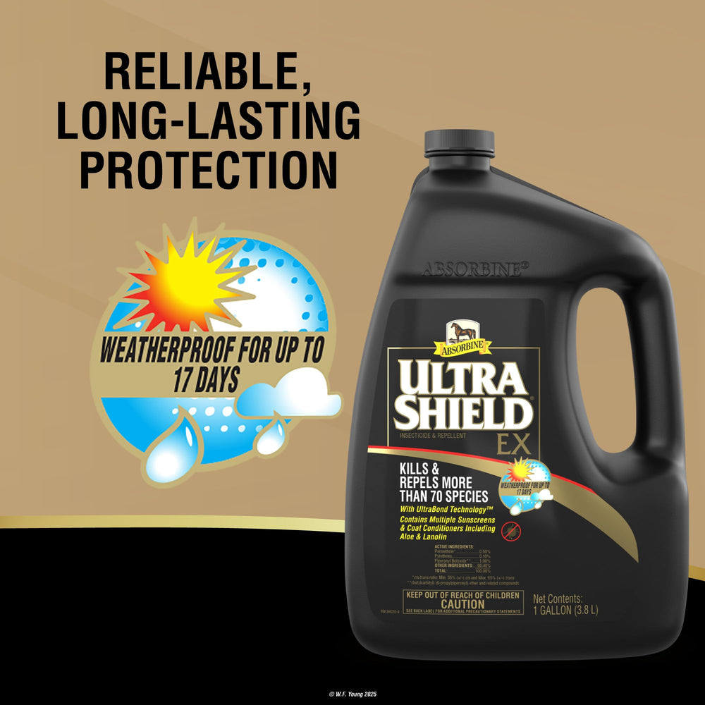 Absorbine-treated coat close-up showing improved shine and condition