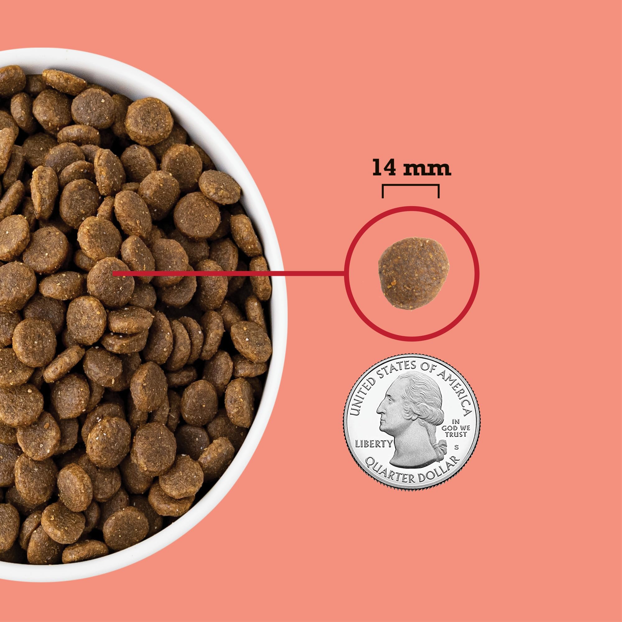 ACANA kibble in bowl ready to serve for appetite appeal