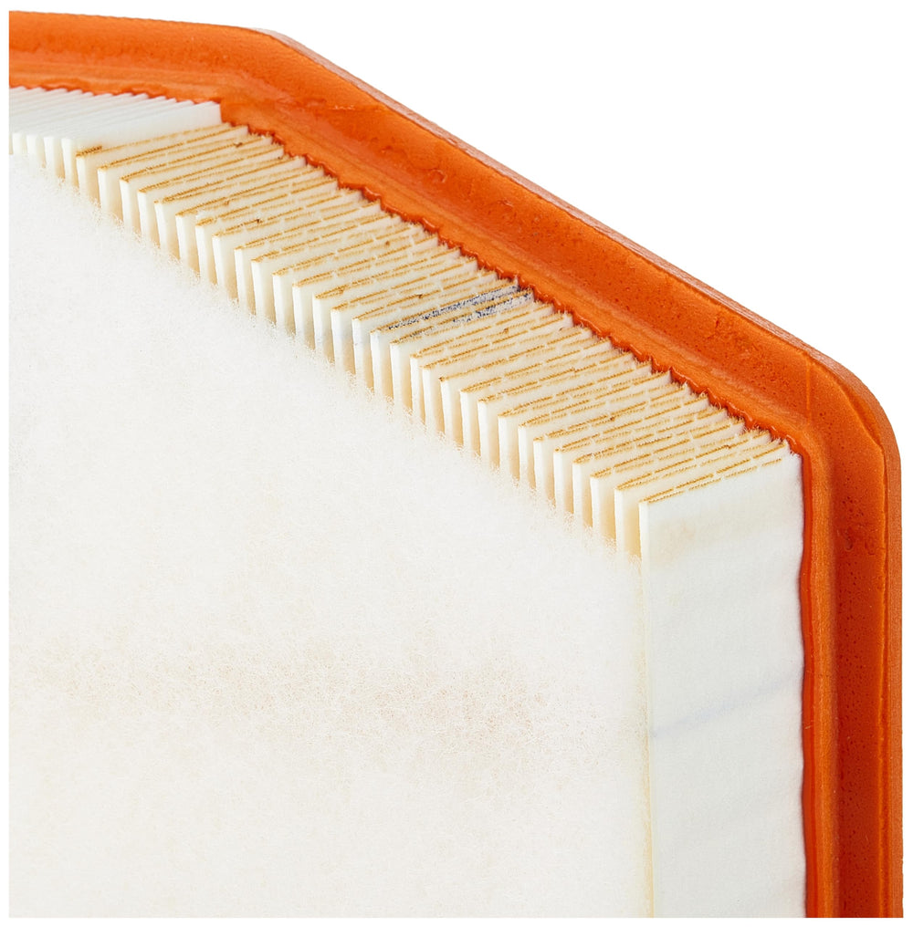 ACDelco filter next to ruler for scale showing exact OE dimensions