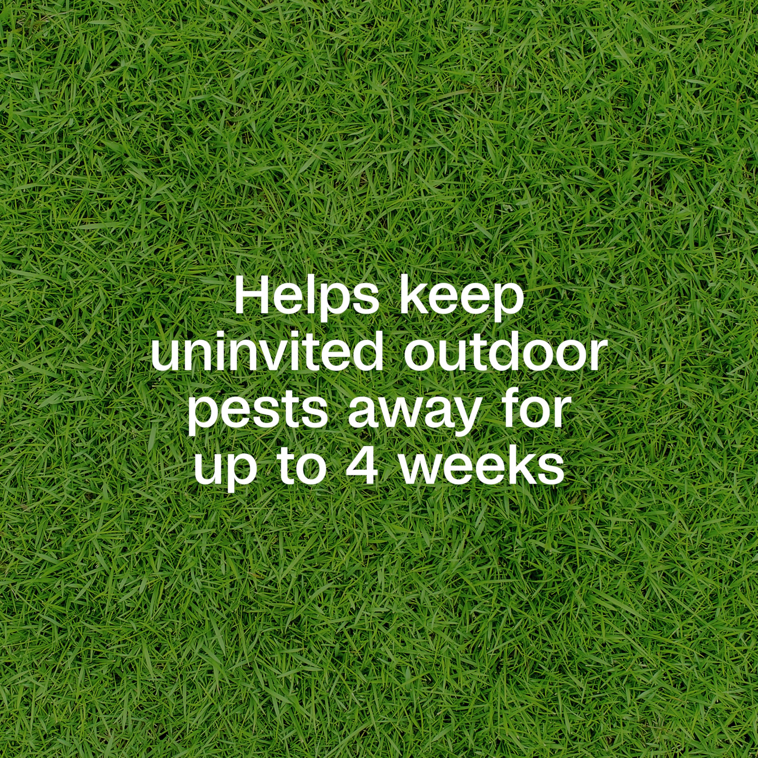 ADAMS spray applied across lawn demonstrating fast outdoor pest reduction benefit