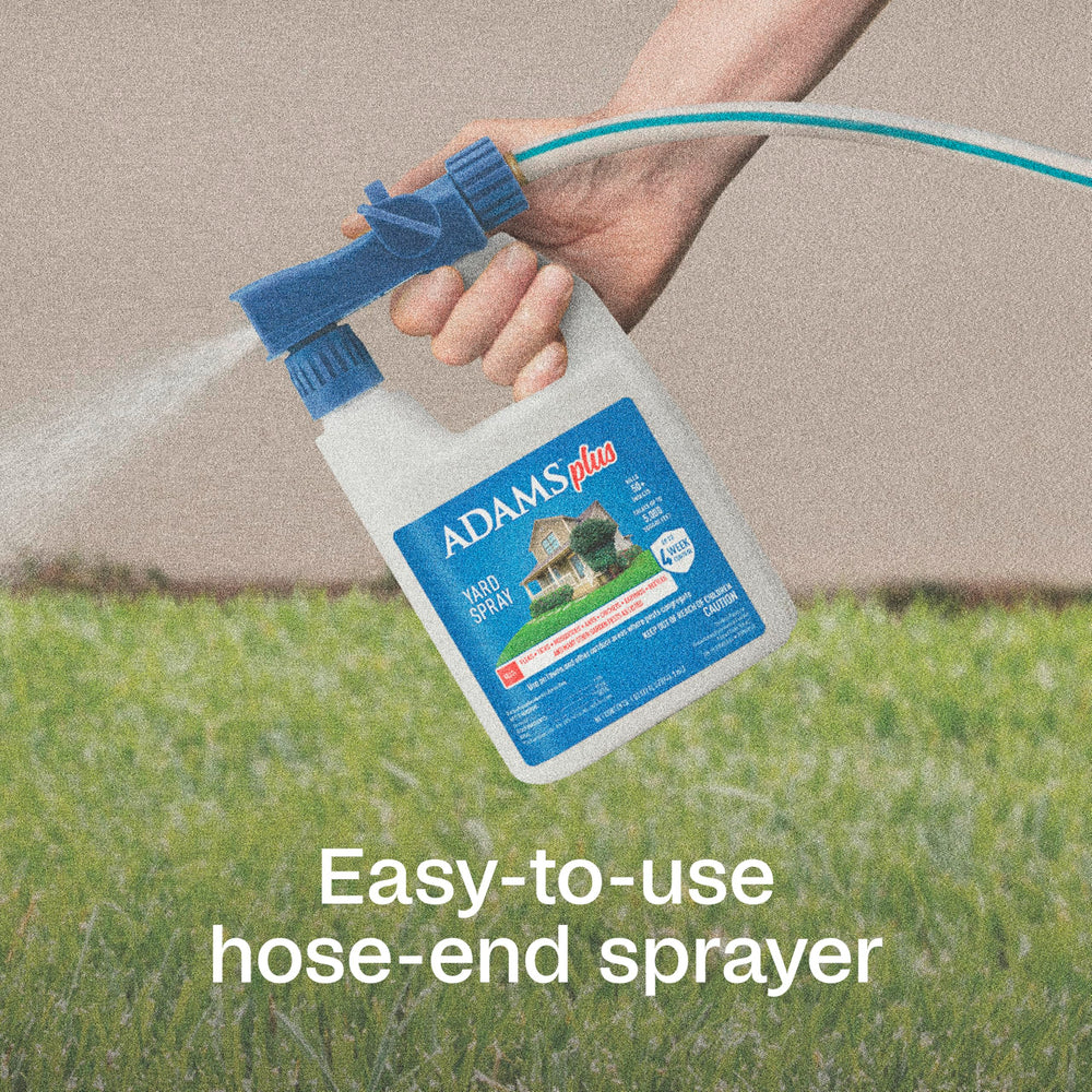 ADAMS targeted spray at shrub base reducing hiding places and lowering pest risk