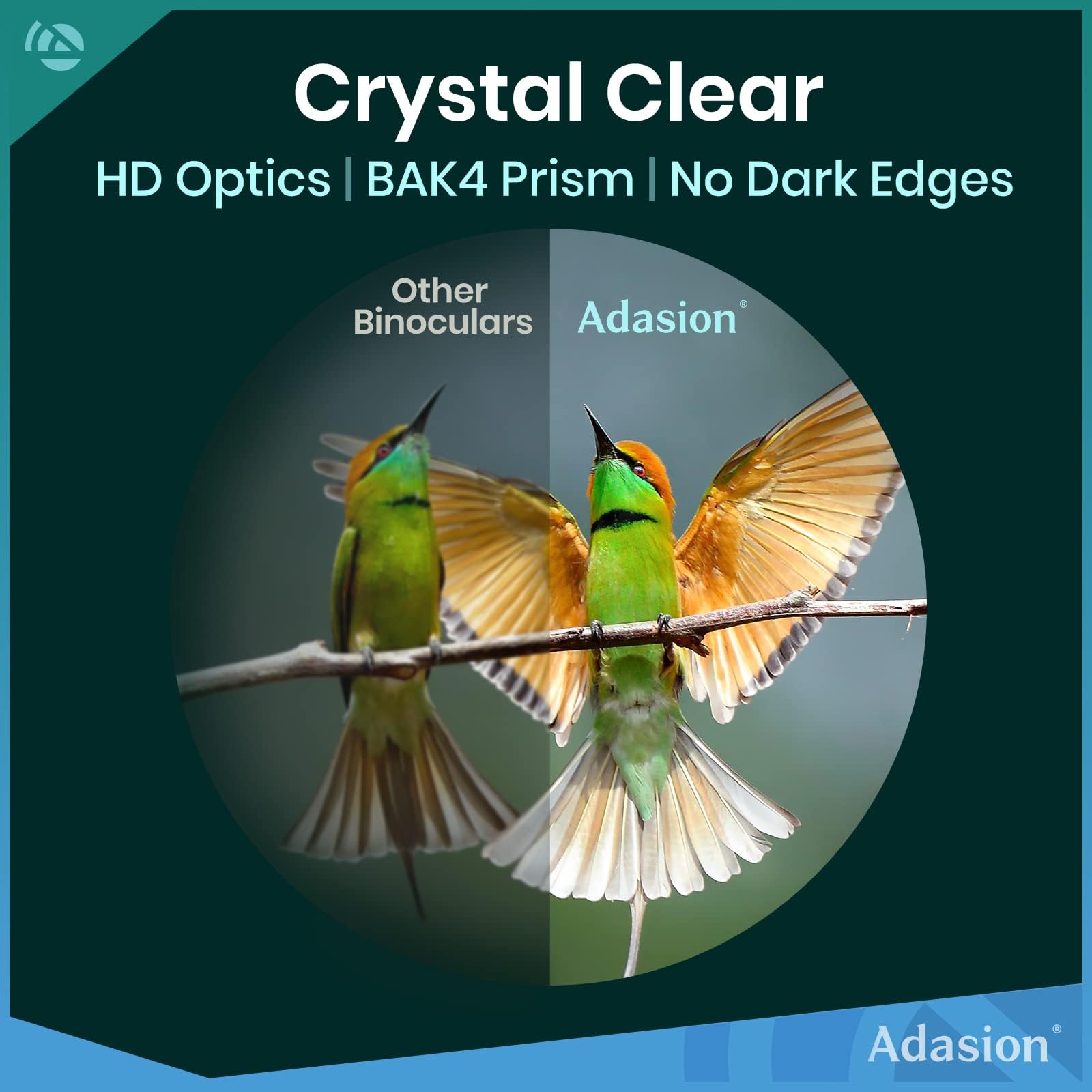 Adasion close-up of 42mm objective lens highlighting brighter low-light views