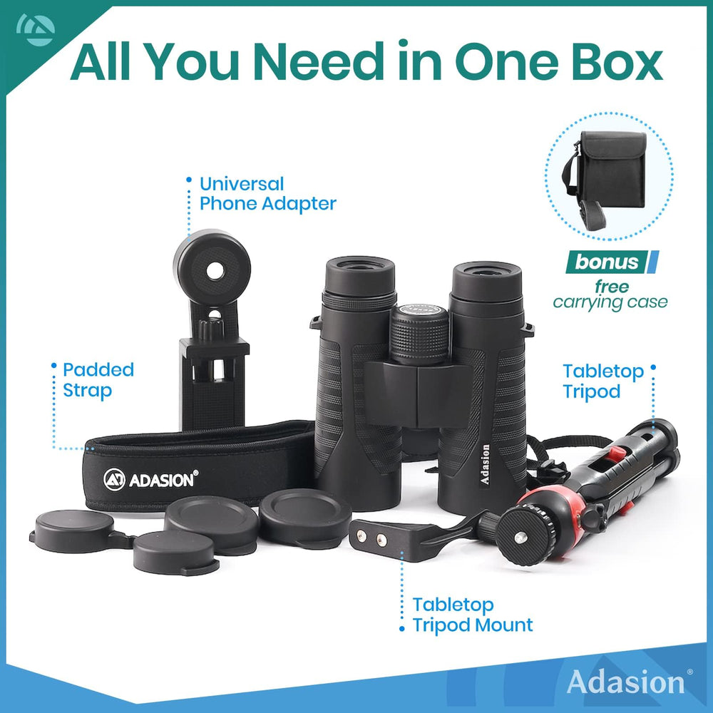 Adasion held in hand to show scale and comfortable weight for travel