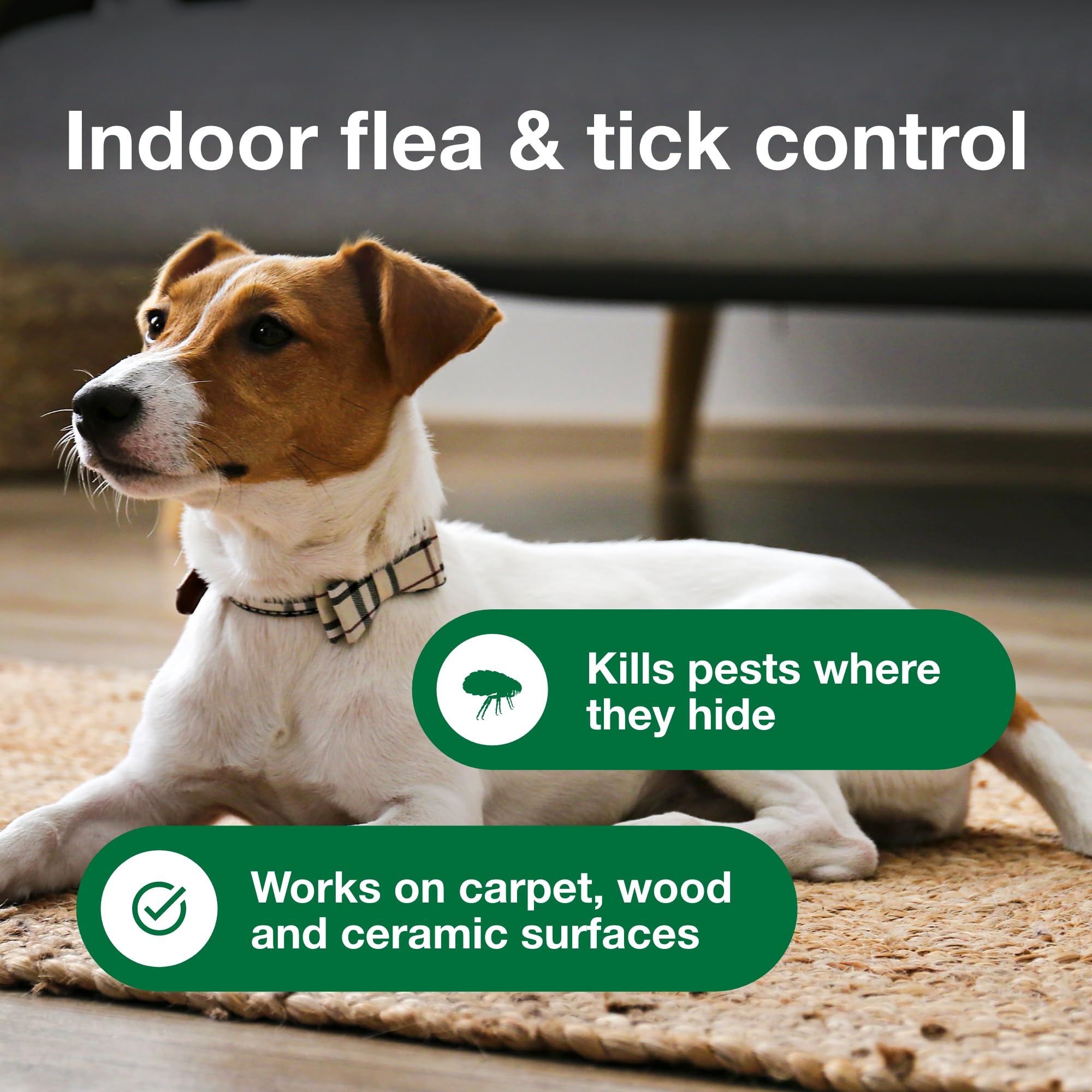Advantage spray used along baseboard to reach hiding pests
