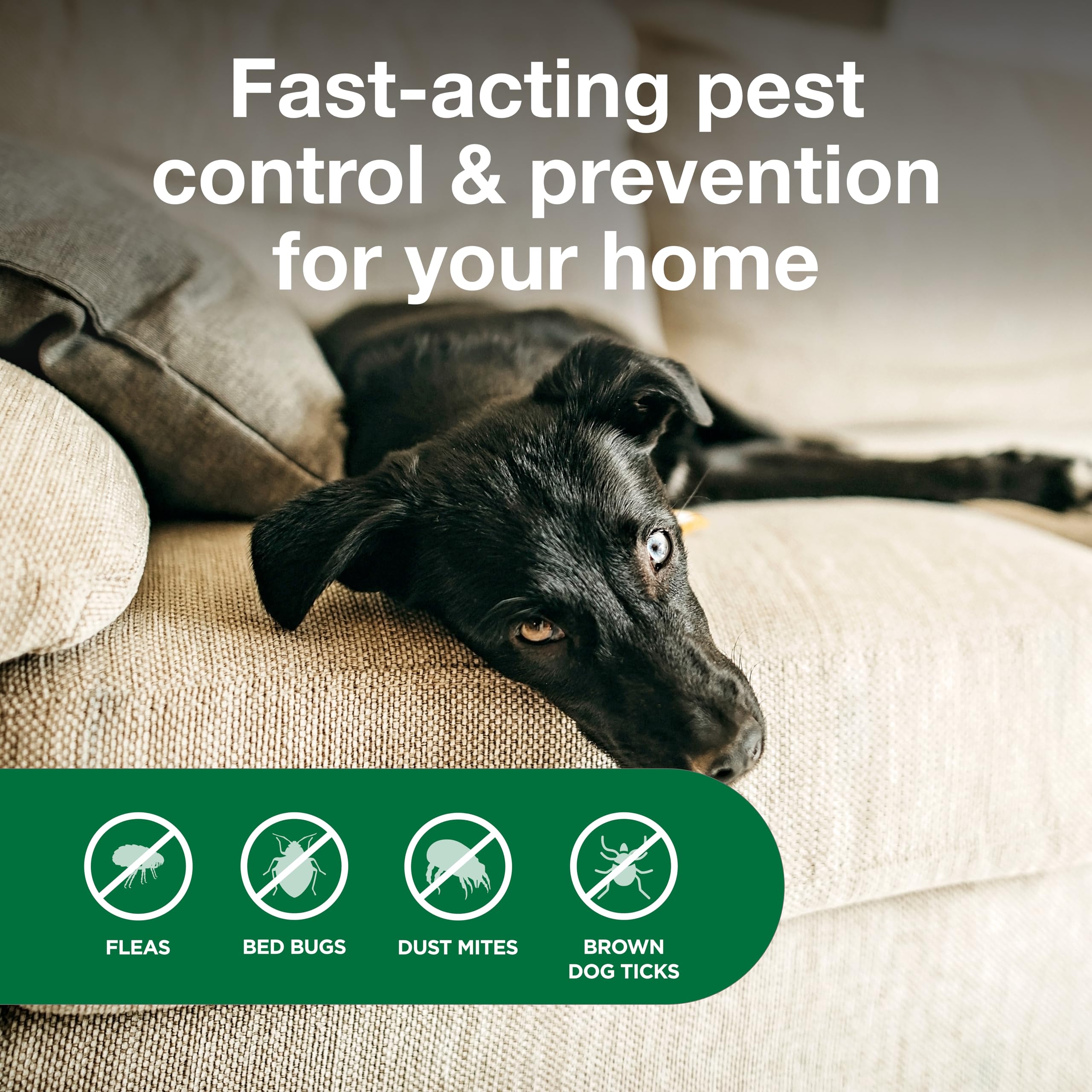 Advantage spray on box spring edge highlighting bed bug and flea protection benefit