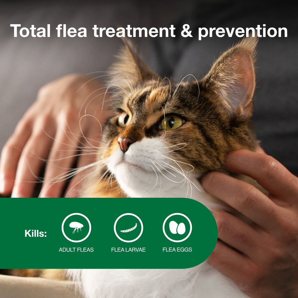 Advantage applied to cat neck showing quick topical application benefit