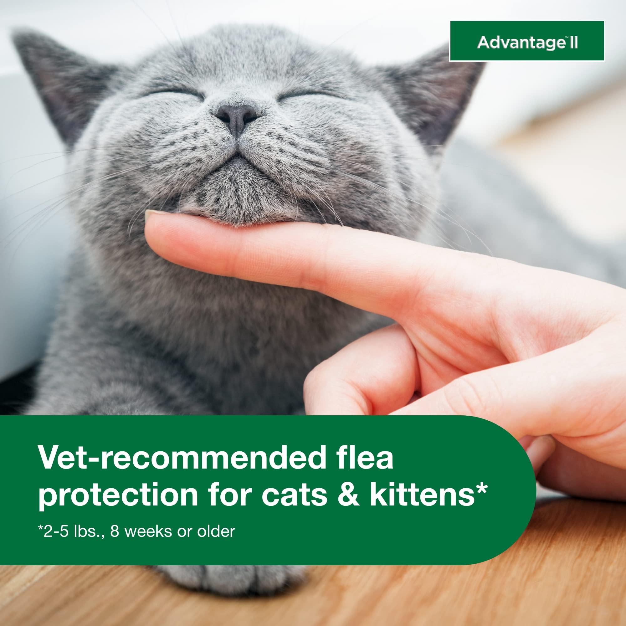 Advantage brand kitten calm after treatment illustrating comfort and relief