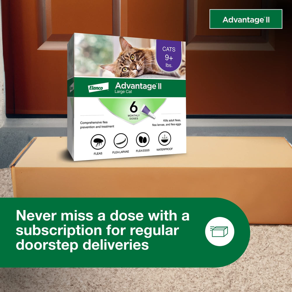 Advantage brand label close-up showing dosage and application instructions