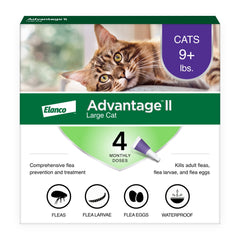 Advantage product front packaging showing brand and benefits