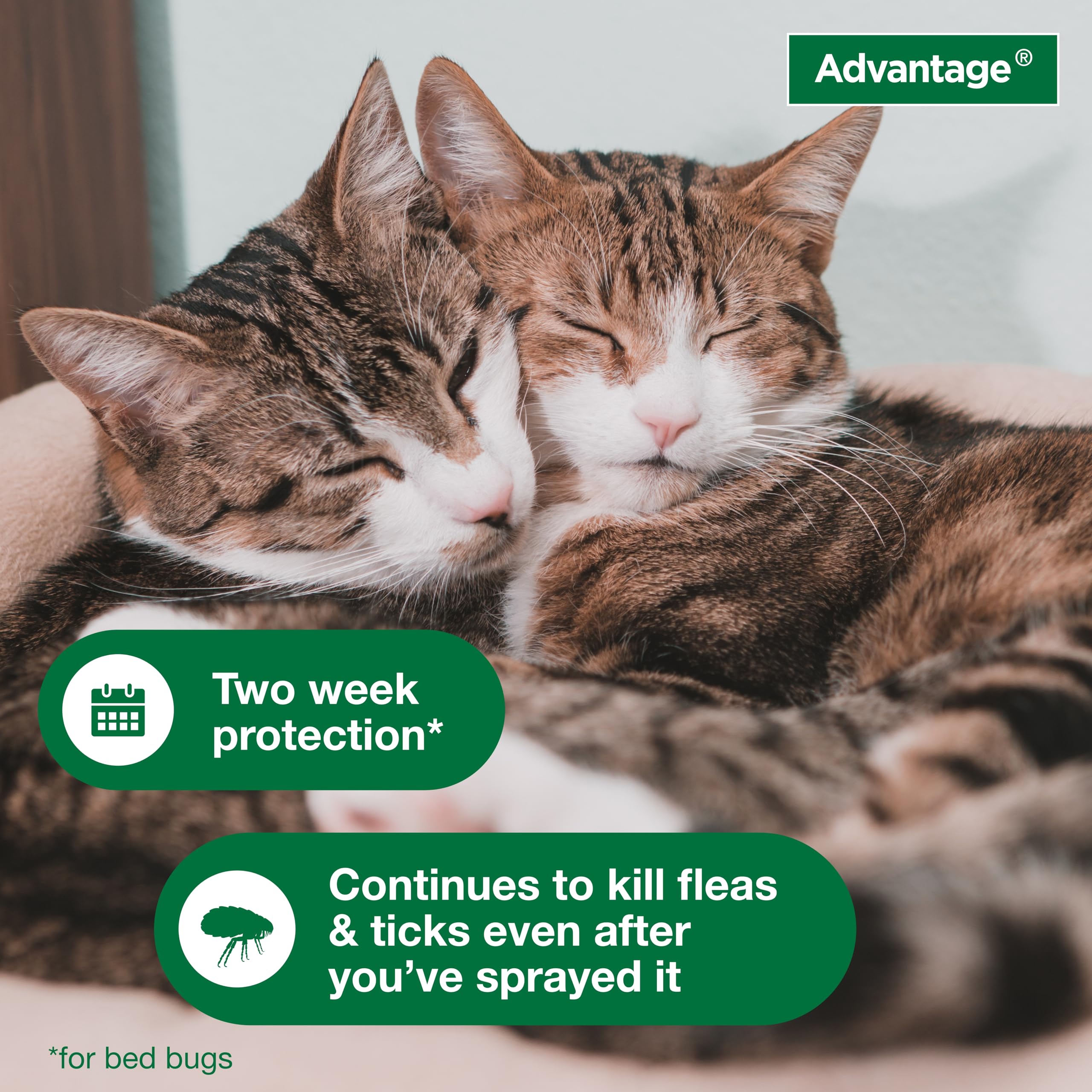 Advantage spot treating luggage and closet folds to prevent pest transport benefit