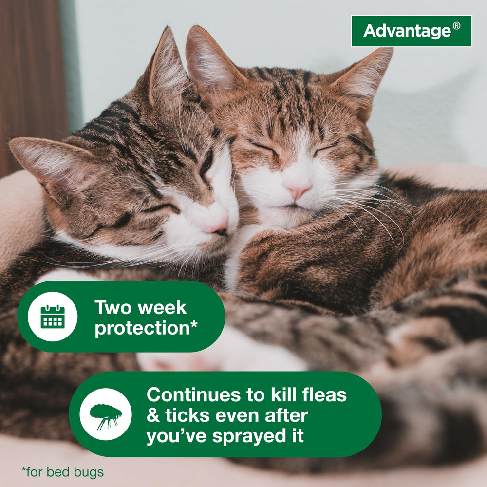 Advantage spot treating luggage and closet folds to prevent pest transport benefit
