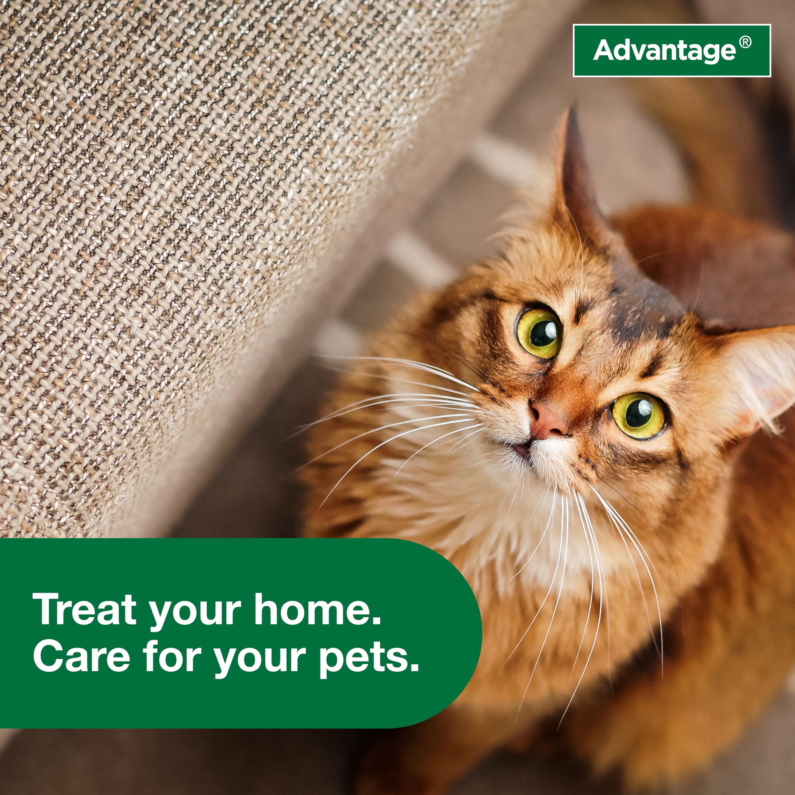 Advantage packaging and directions for safe indoor use