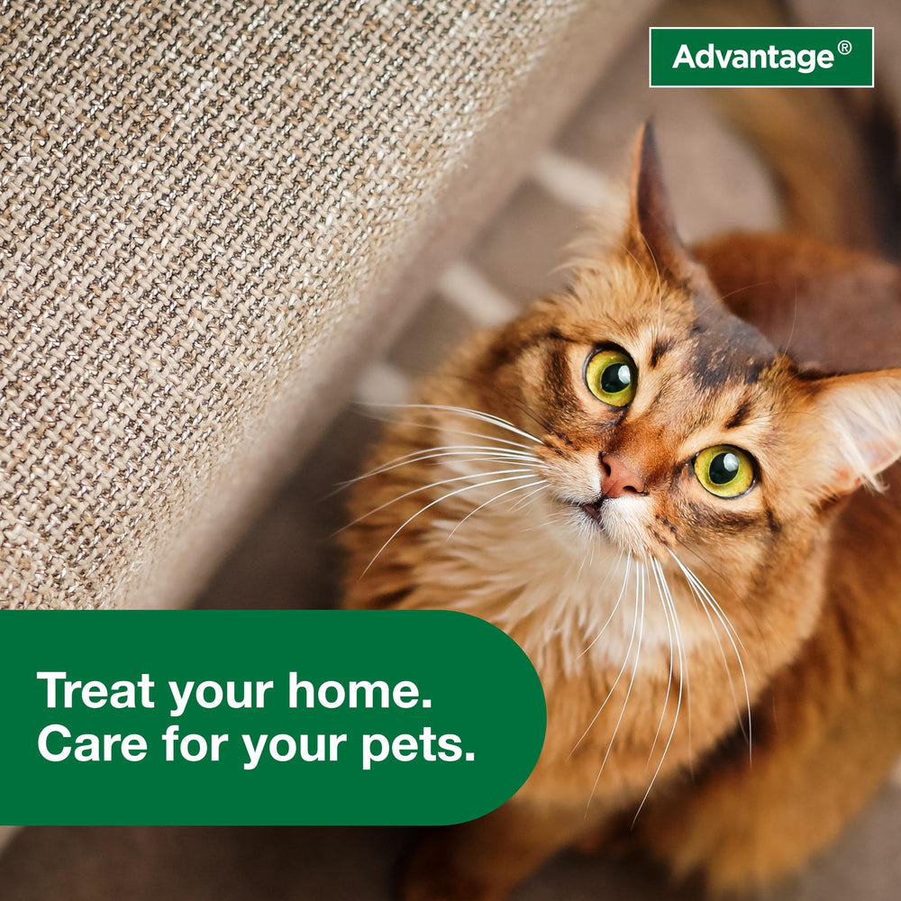 Advantage packaging and directions for safe indoor use