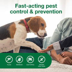 Advantage being applied to sofa upholstery to remove pests
