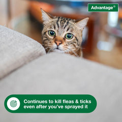 Advantage treated carpet fibers highlighting reduced flea habitat
