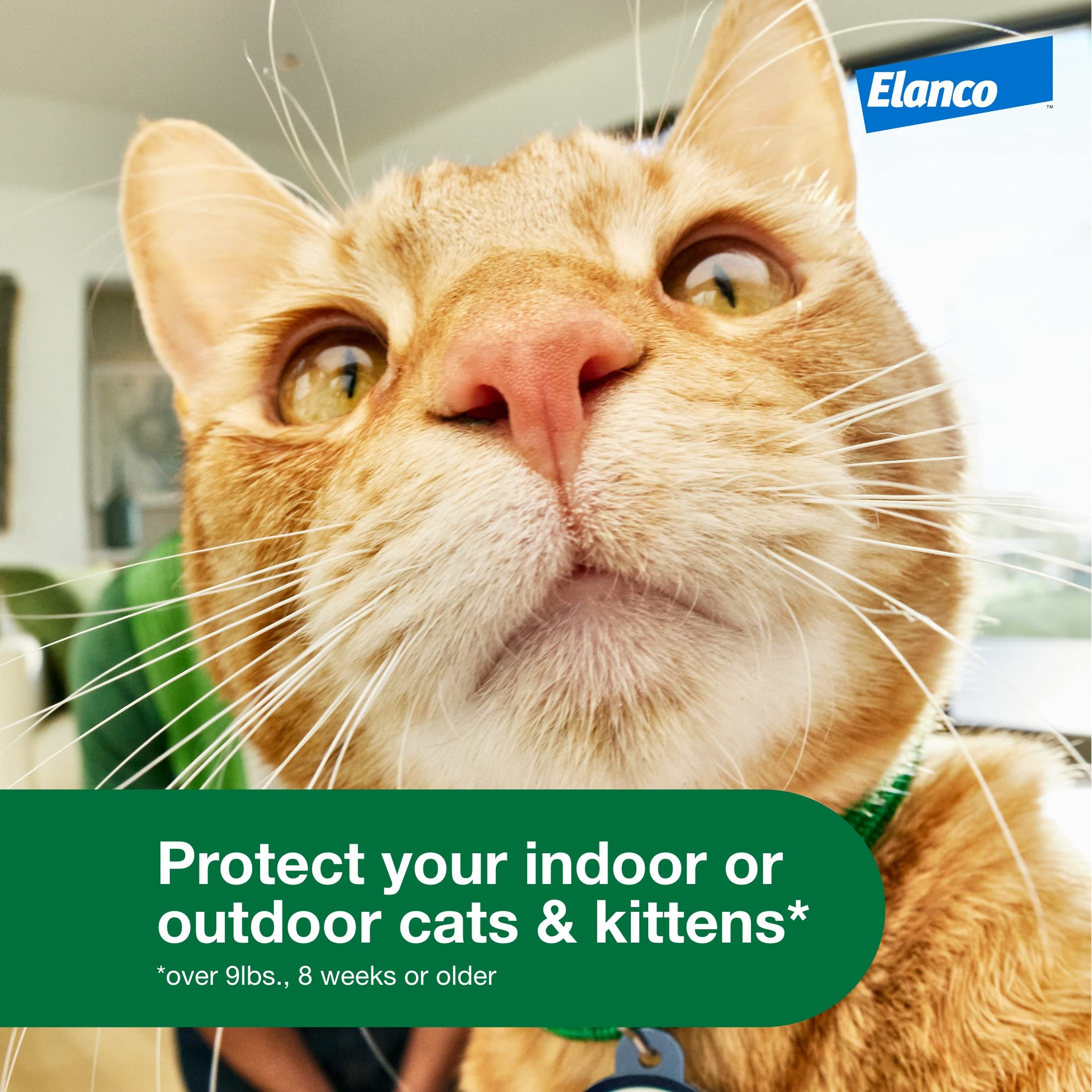 Advantage being applied at cat neck for quick and easy protection