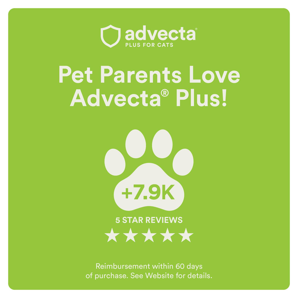 Label close-up showing Advecta active ingredients for informed choice