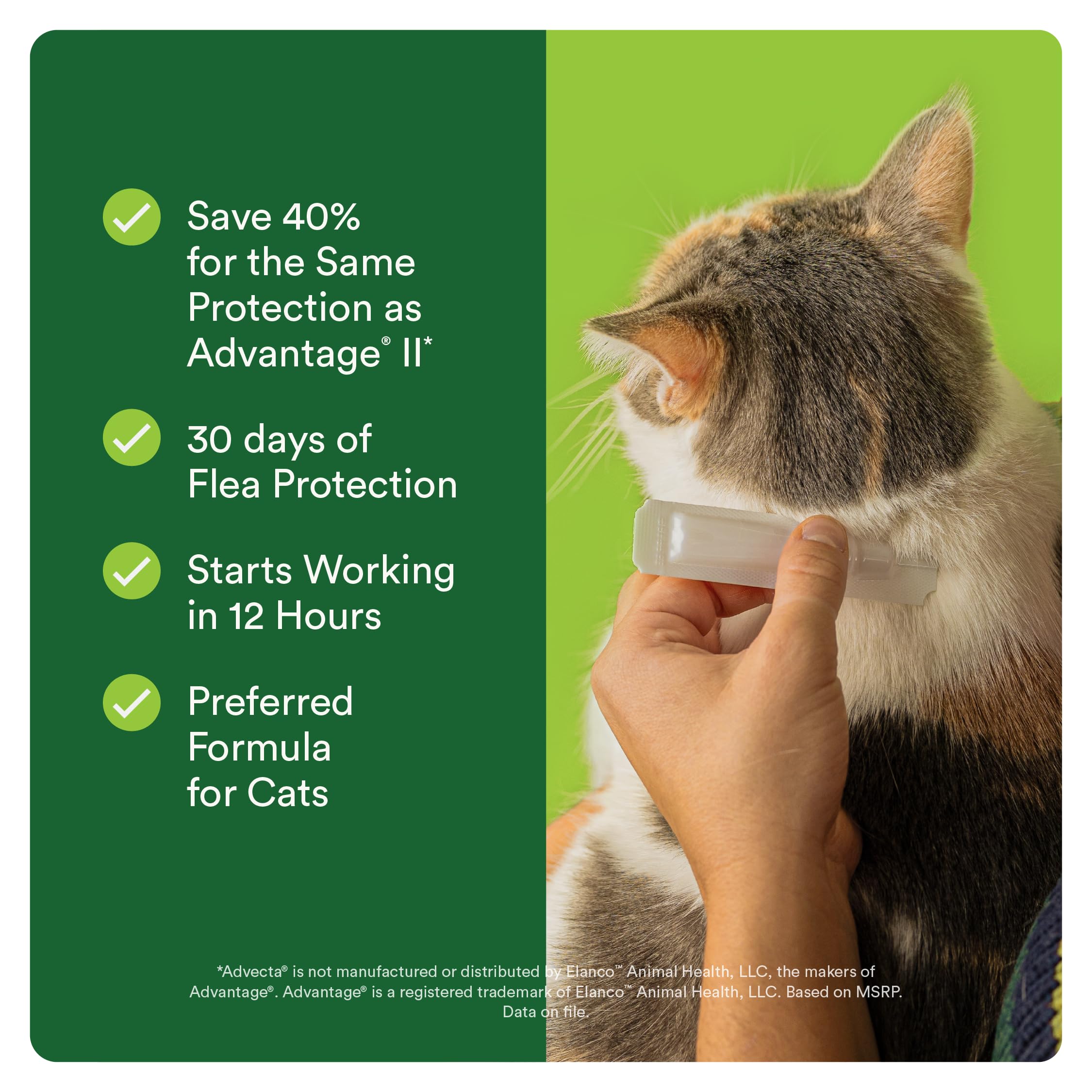 Advecta brand applied to back of cat neck demonstrating safe placement