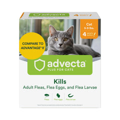 Advecta brand front packaging showing small cat dosing and benefits