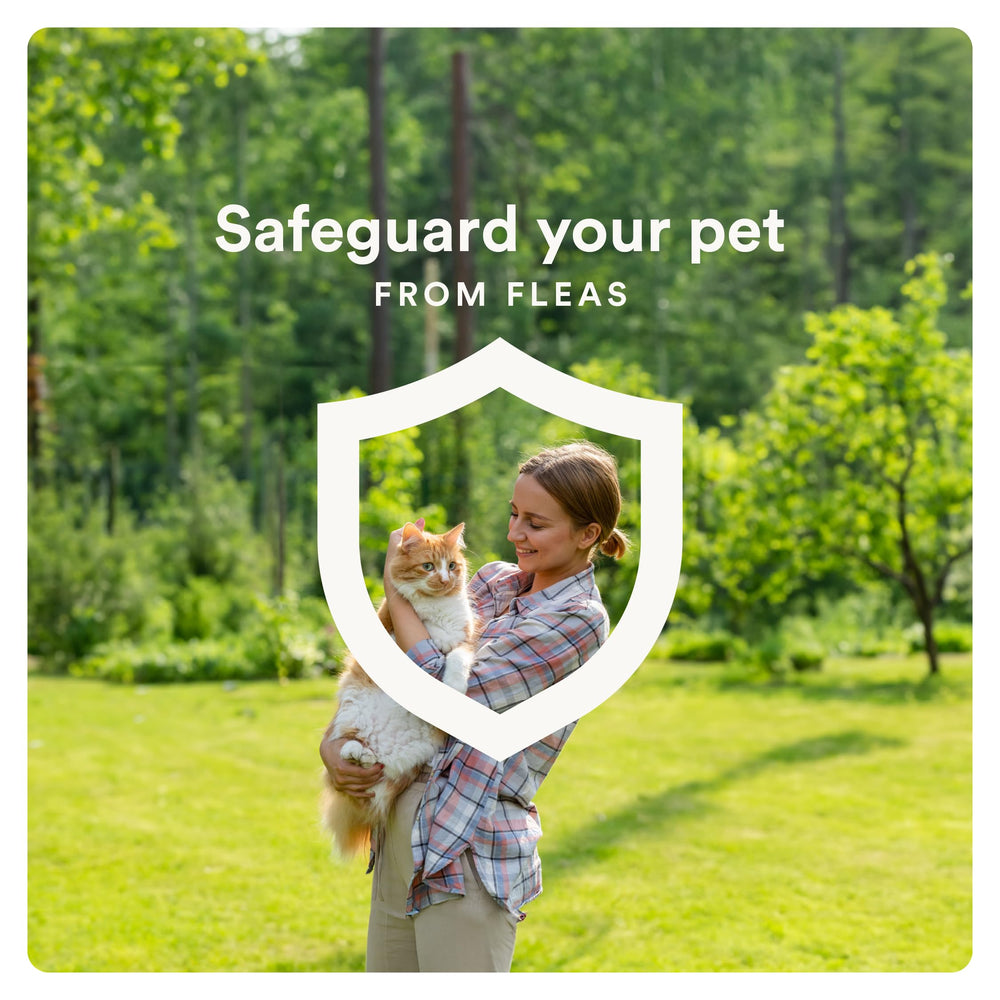 Advecta brand kitten graphic indicating safe use from eight weeks old