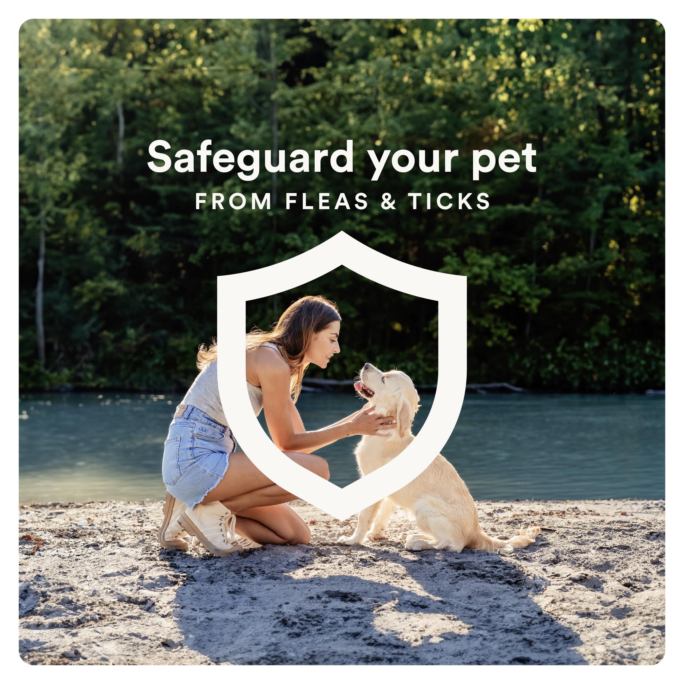 Dog splashing in water after Advecta application, waterproof protection