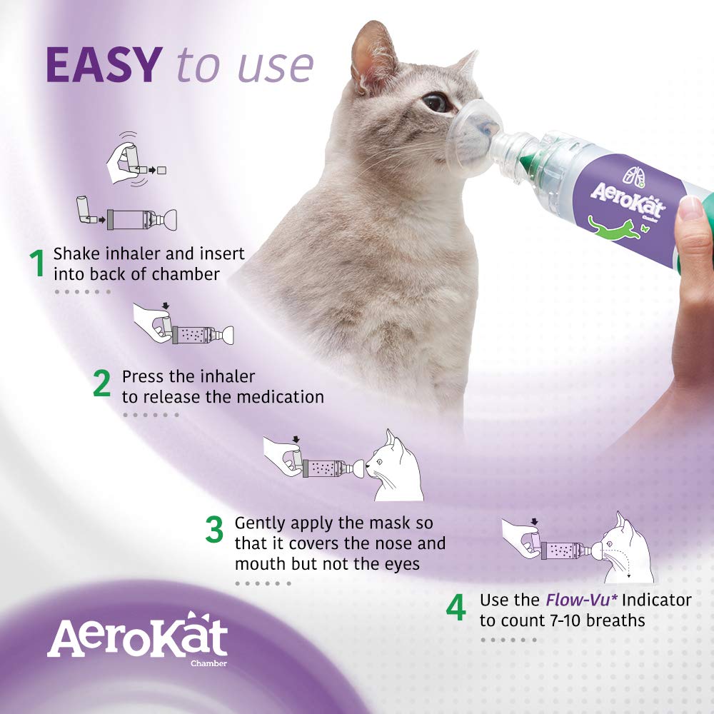 Aerokat disassembled parts displaying easy cleaning and maintenance