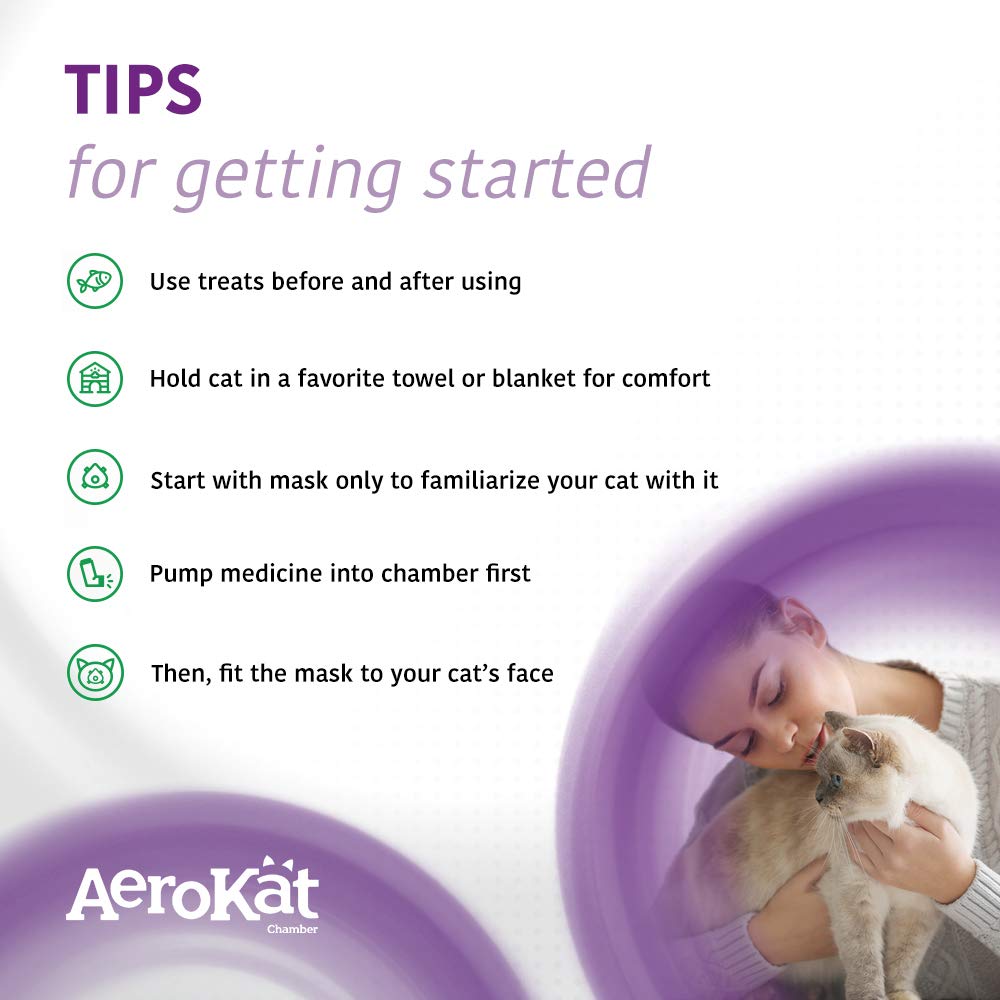 Aerokat next to ruler size comparison to show compact, portable design