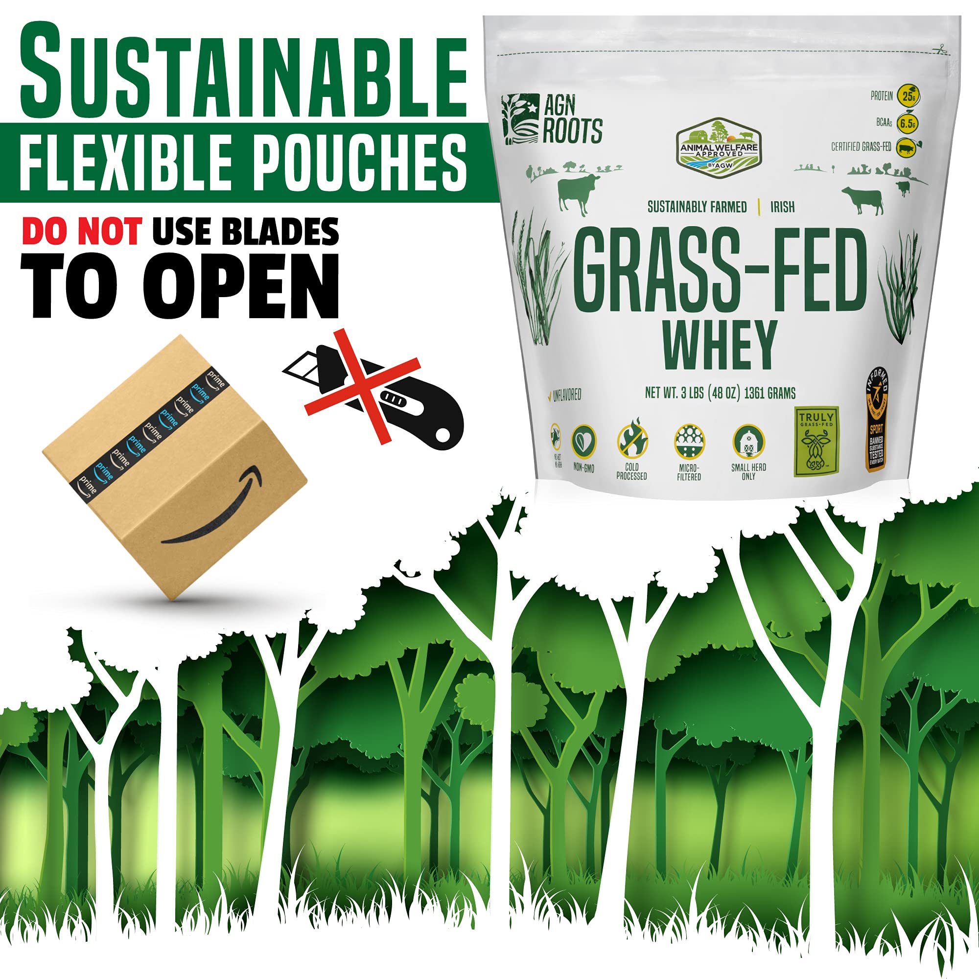 Pasture scene with grazing cows tied to AGN Roots source and welfare standards