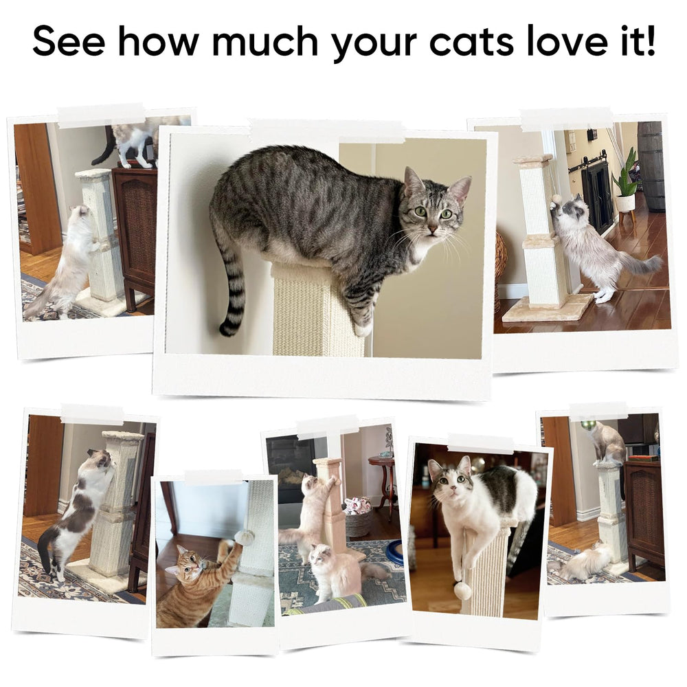 AGYM post next to a cat showing 32-inch height for full-body stretching