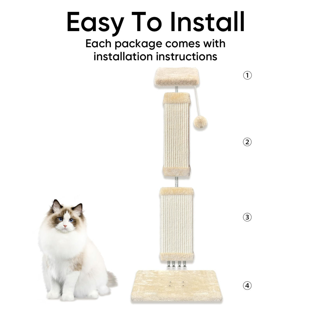 AGYM large cat using post to stretch and scratch, encouraging healthy behavior