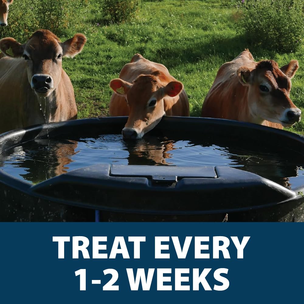 Airmax treated trough with animals drinking showing improved clarity