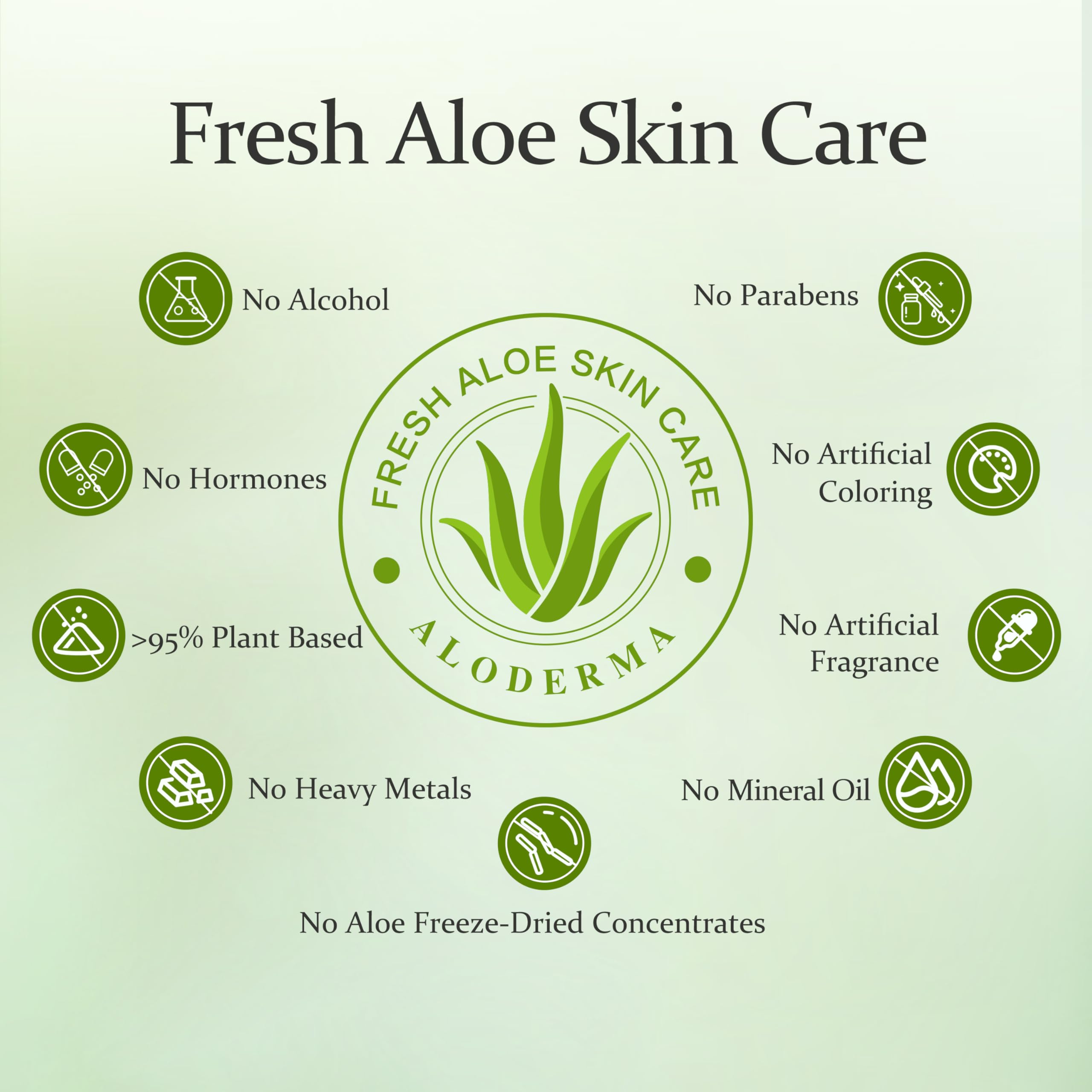 Aloderma farm row of aloe plants illustrating fresh-harvest quality benefit