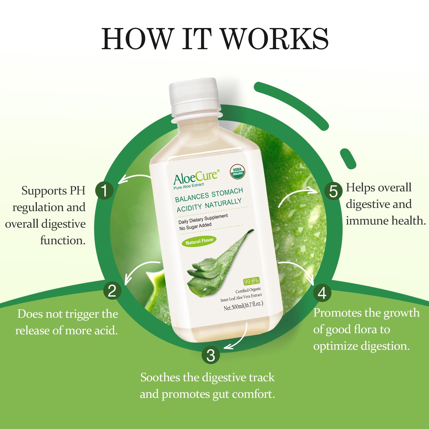 AloeCure mixed into smoothie demonstrating digestion-supporting routine