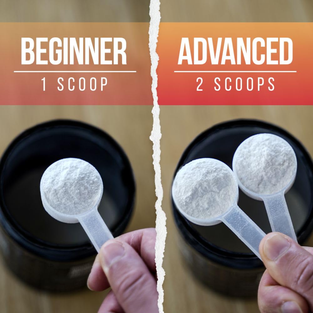 ALPHA LION scoop next to scale showing serving-size accuracy and dosing control