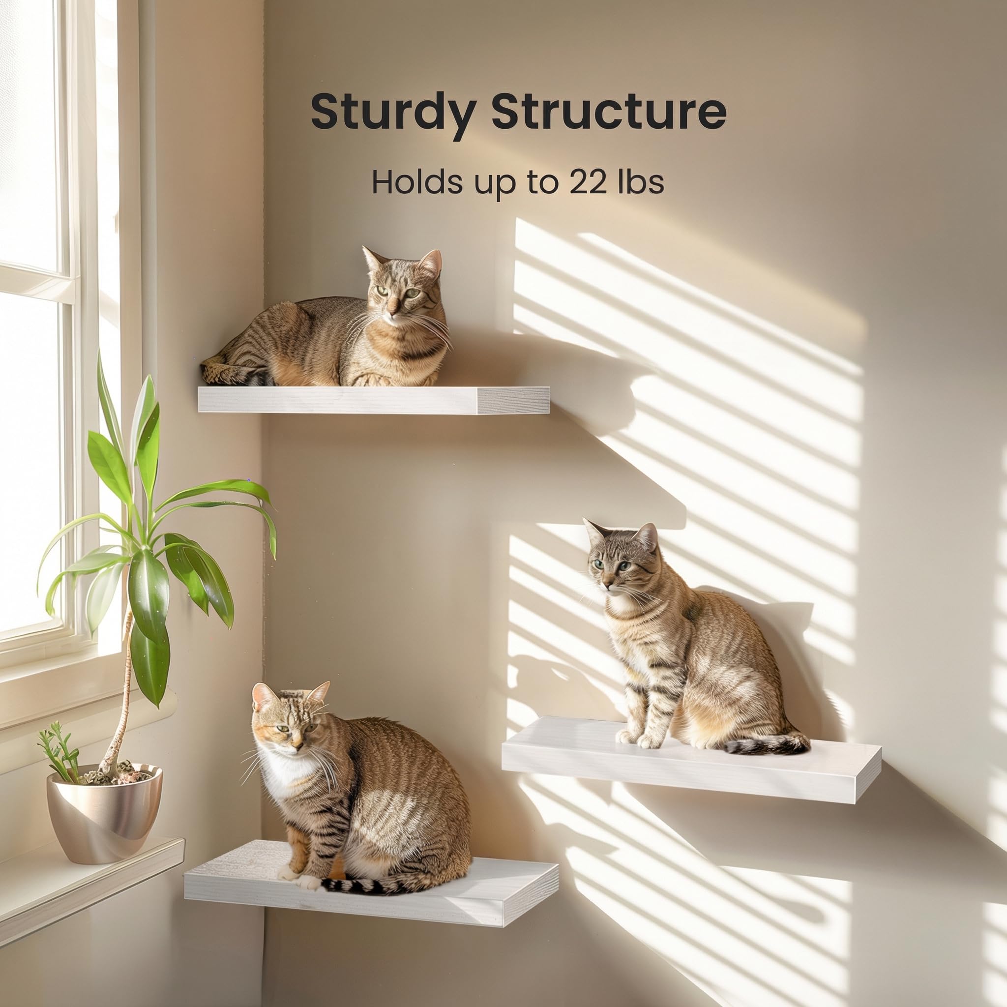 AMADA HOMEFURNISHING shelves in living room displaying photos and plants for styling benefit
