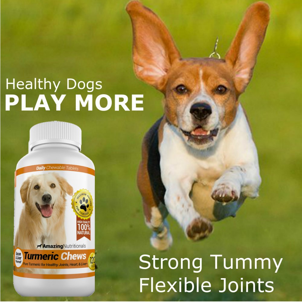 Amazing Nutritionals dog enjoying chew, supports easier feeding and acceptance