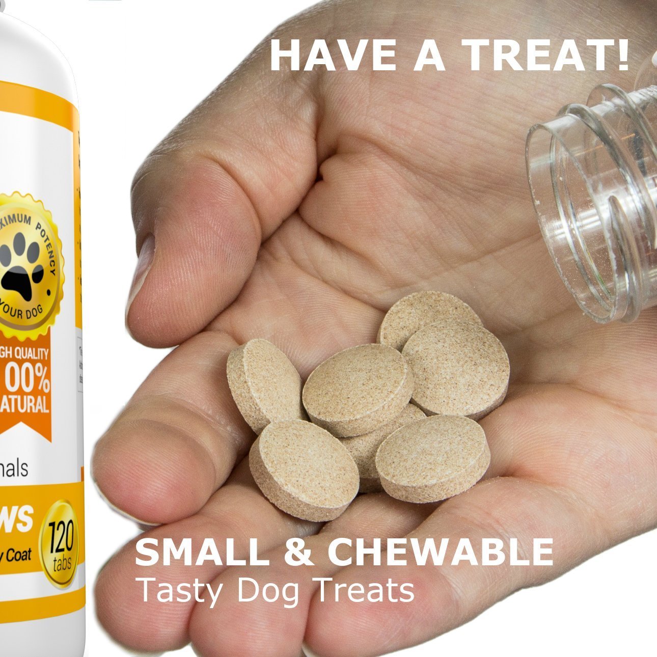 Amazing Nutritionals dog happily eating a chew, supports skin comfort