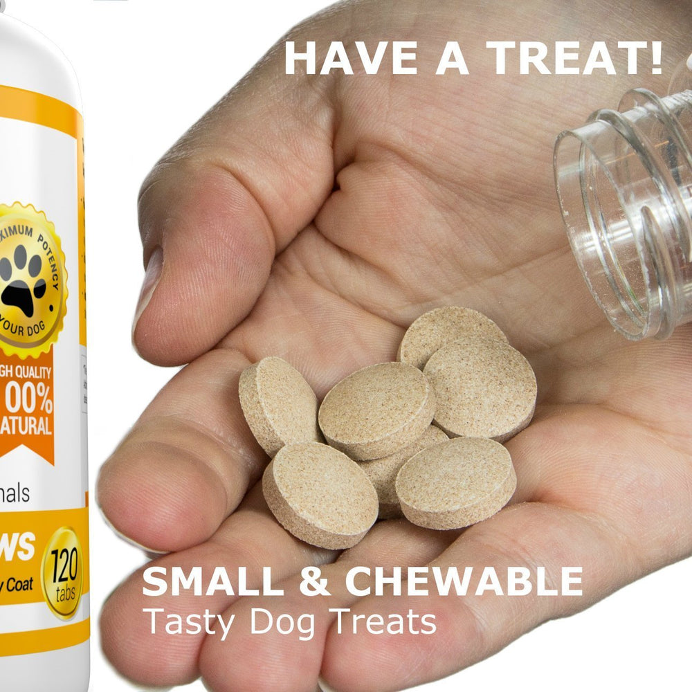 Amazing Nutritionals dog happily eating a chew, supports skin comfort