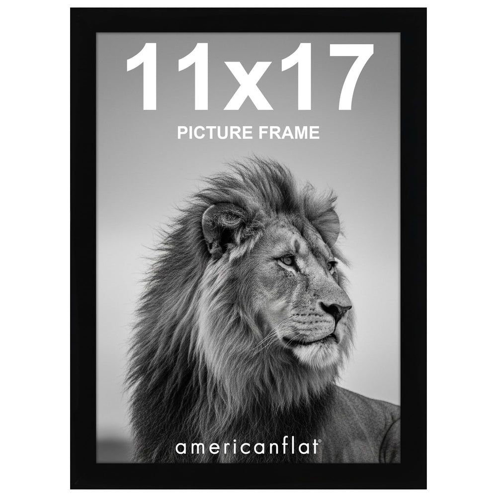 Americanflat front view of 11x17 black frame showing clean display and contrast